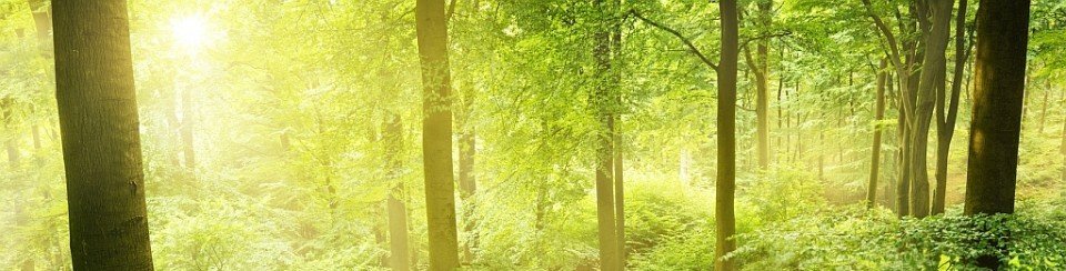 Praxis für Integrative Hypnosetherapie